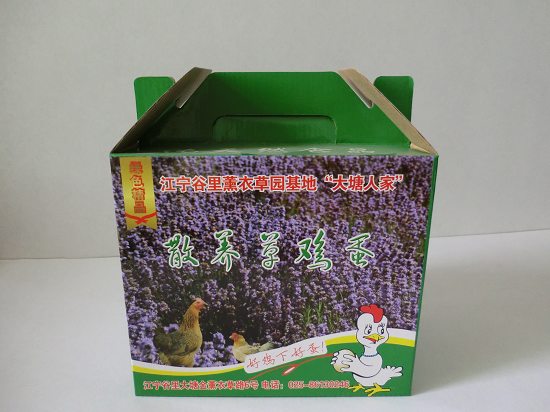 1-06草鸡蛋彩盒