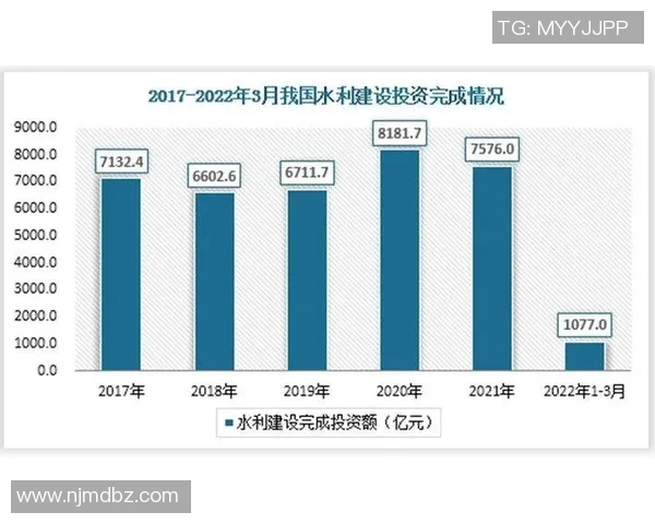 成都排球队实力分析与未来发展潜力的深度探讨