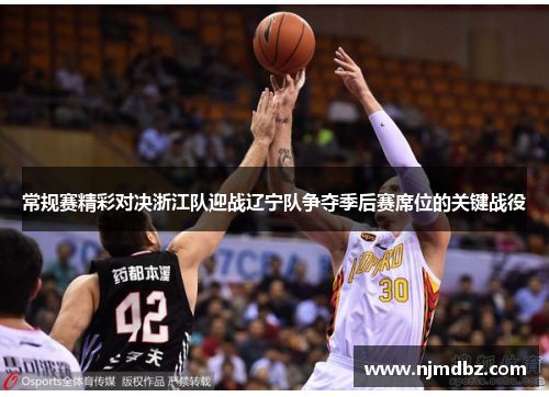 常规赛精彩对决浙江队迎战辽宁队争夺季后赛席位的关键战役