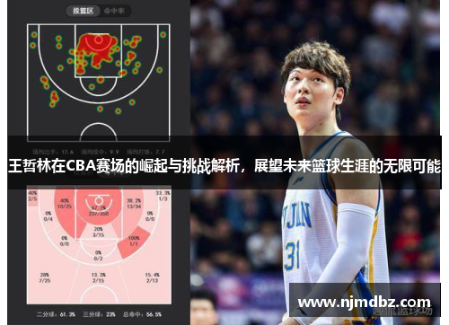 王哲林在CBA赛场的崛起与挑战解析，展望未来篮球生涯的无限可能